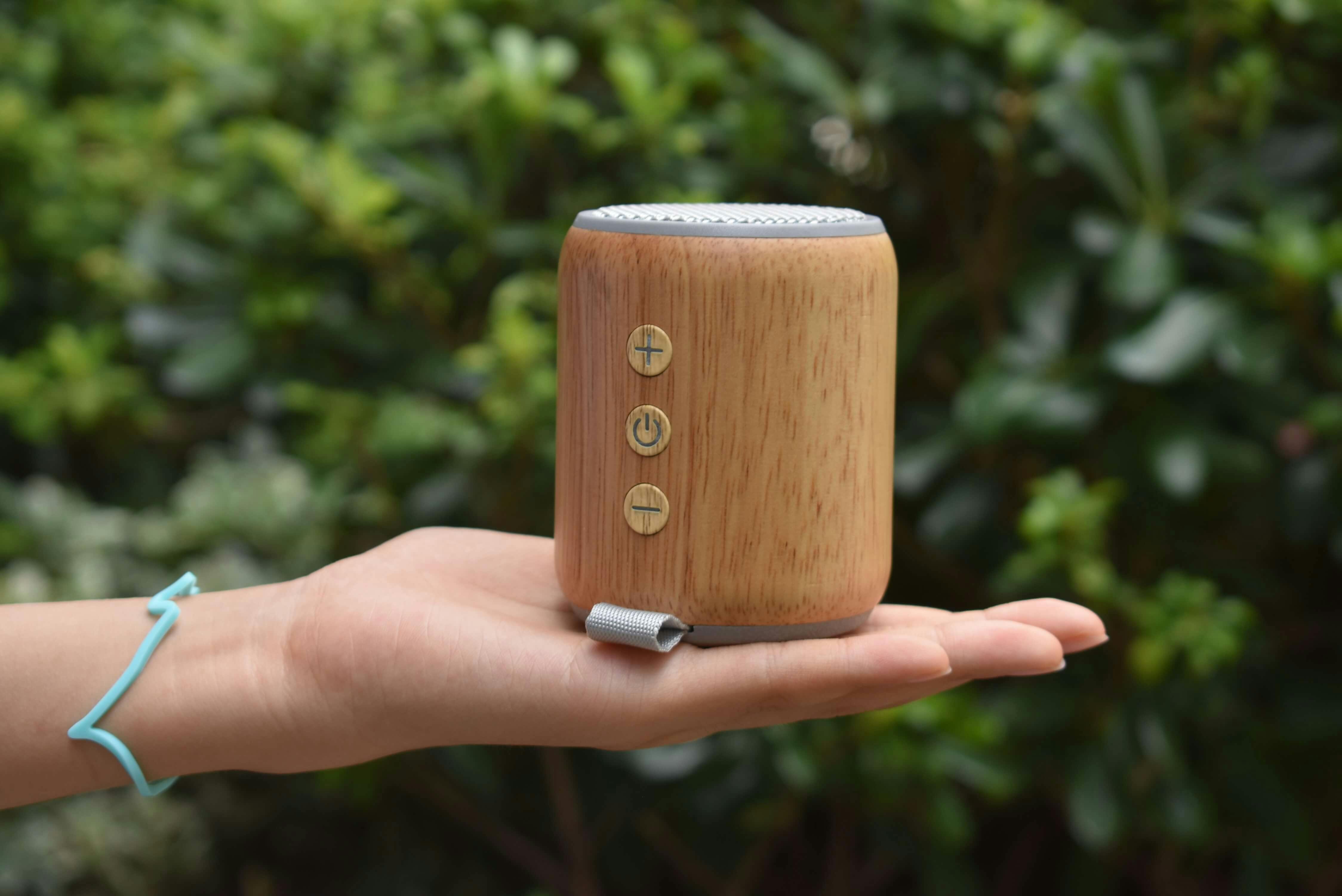 Portable Bluetooth Speaker